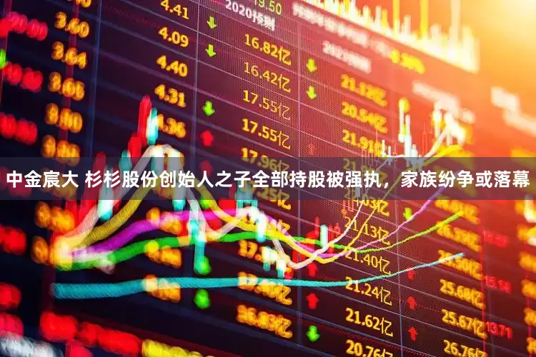 中金宸大 杉杉股份创始人之子全部持股被强执，家族纷争或落幕