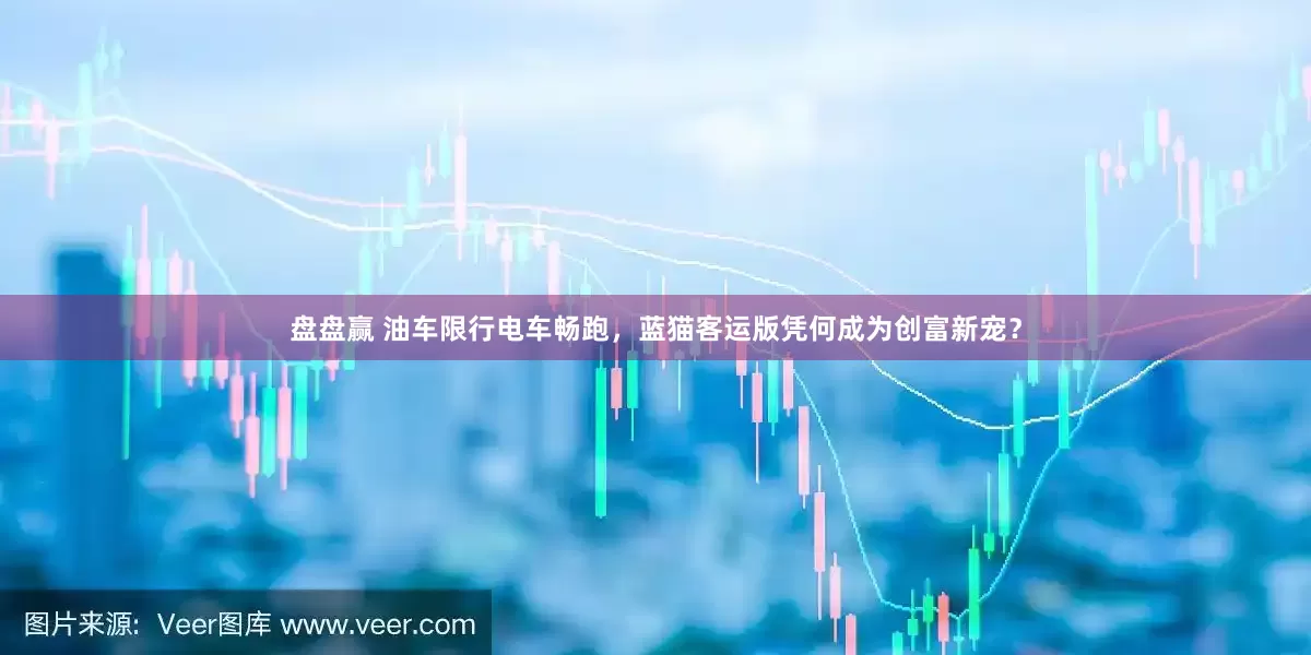 盘盘赢 油车限行电车畅跑，蓝猫客运版凭何成为创富新宠？