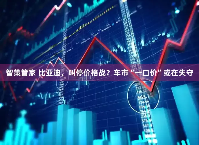 智策管家 比亚迪，叫停价格战？车市“一口价”或在失守