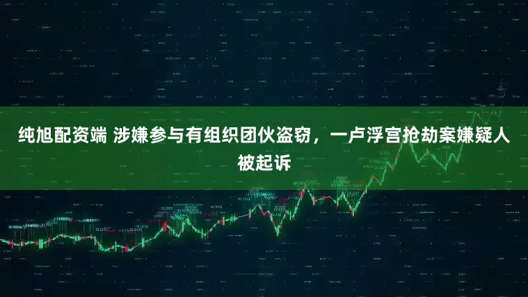 纯旭配资端 涉嫌参与有组织团伙盗窃，一卢浮宫抢劫案嫌疑人被起诉