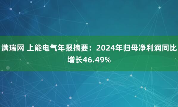 满瑞网 上能电气年报摘要：2024年归母净利润同比增长46.49%